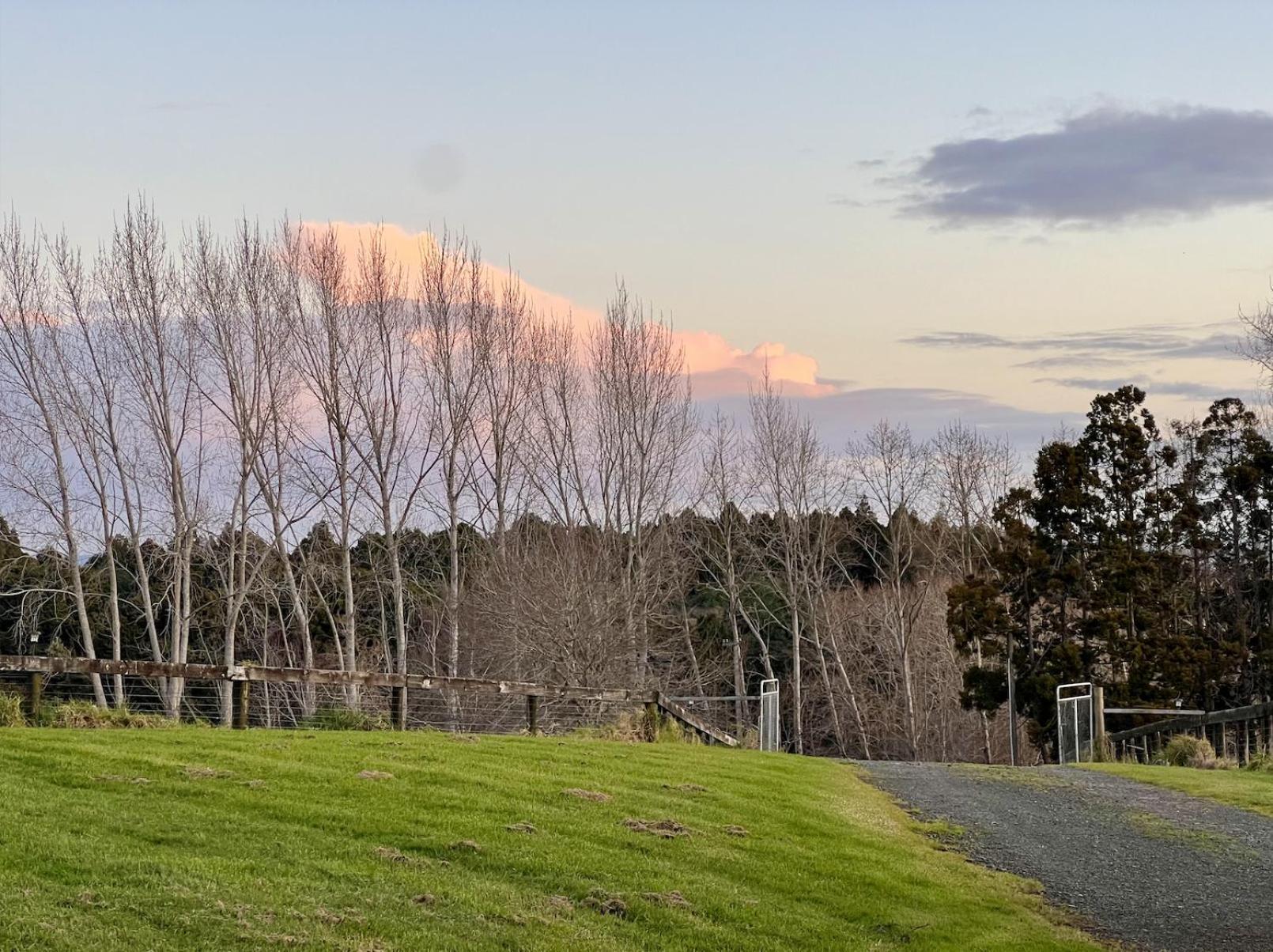 Ranfurly Holiday Home Auckland Eksteriør bilde